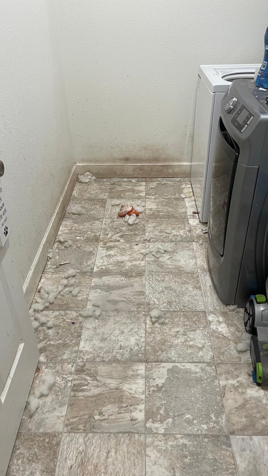 Laundry room before cleaning